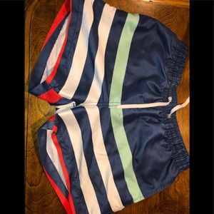 Chubbies striped swim